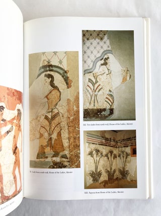 Aegean Painting in the Bronze Age