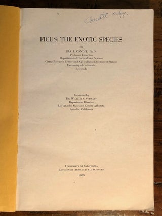 Ficus: The Exotic Species