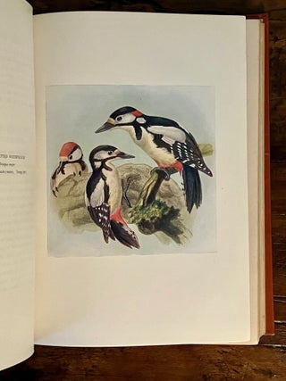Birds of Britain