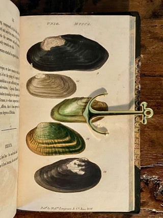 Manual of the Land and Fresh-Water Shells of the British Islands