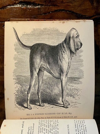 British Dogs: Their Varieties, History, Characteristics, Breeding, Management and Exhibition. Illustrated with Portraits of Dogs of the Day - SCARCE First Edition