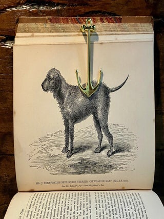 British Dogs: Their Varieties, History, Characteristics, Breeding, Management and Exhibition. Illustrated with Portraits of Dogs of the Day - SCARCE First Edition