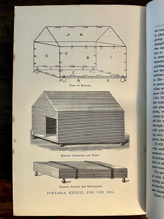 British Dogs: Their Varieties, History, Characteristics, Breeding, Management and Exhibition. Illustrated with Portraits of Dogs of the Day - SCARCE First Edition