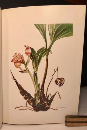 Plants of the Fiji Islands