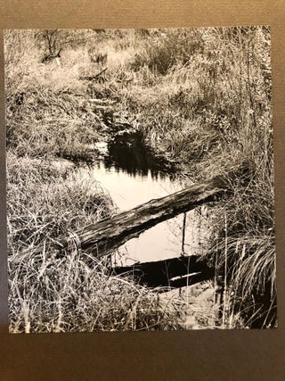 Tatoosh - Folio of Original Photographs by Art Hupy