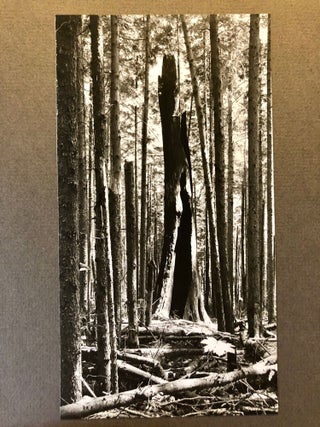 Tatoosh - Folio of Original Photographs by Art Hupy