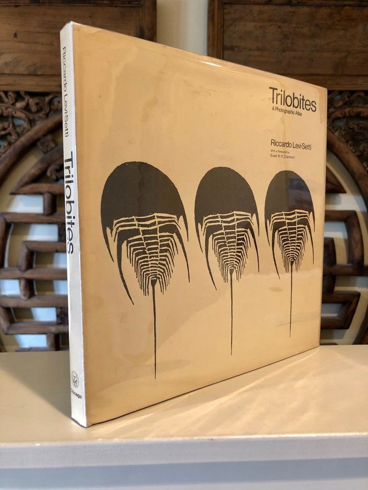 Item #1900 Trilobites A Photographic Atlas. Riccardo LEVI-SETTI.