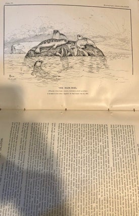 The History and Present Condition of the Fishery Industries. The Seal-Islands of Alaska. A Monograph of the Pribylov Group; Tenth Census of the United States.