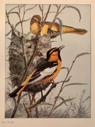 Item #4698 The Birds of Washington [Limited Large Paper Edition in Two Volumes, SIGNED by...