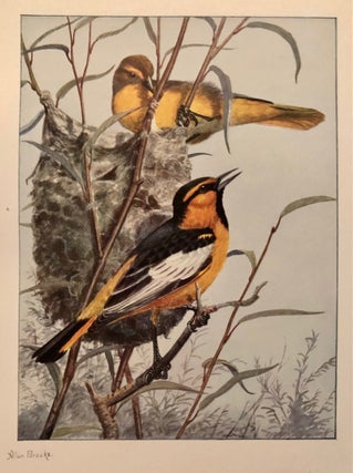 Item #4698 The Birds of Washington [Limited Large Paper Edition in Two Volumes, SIGNED by...