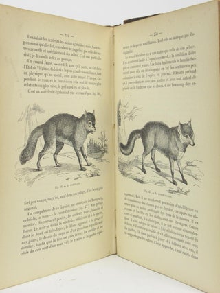 Les Petits Quadrupèdes de la Maison et des Champs [Two volumes bound together]