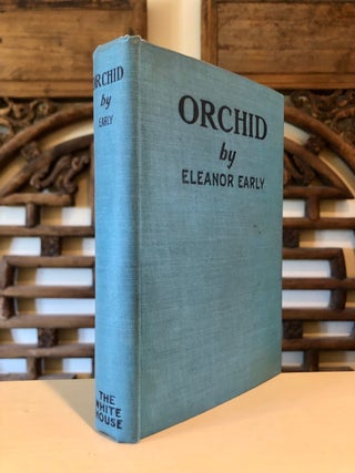 Orchid A Story of a Stenographer Who Married a Millionaire