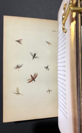 The Fly Fisher's Guide, Illustrated by Coloured Plates, Representing Upwards of Forty of the Most Useful Flies, Accurately Copied from Nature