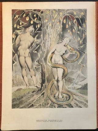 Paradise Lost