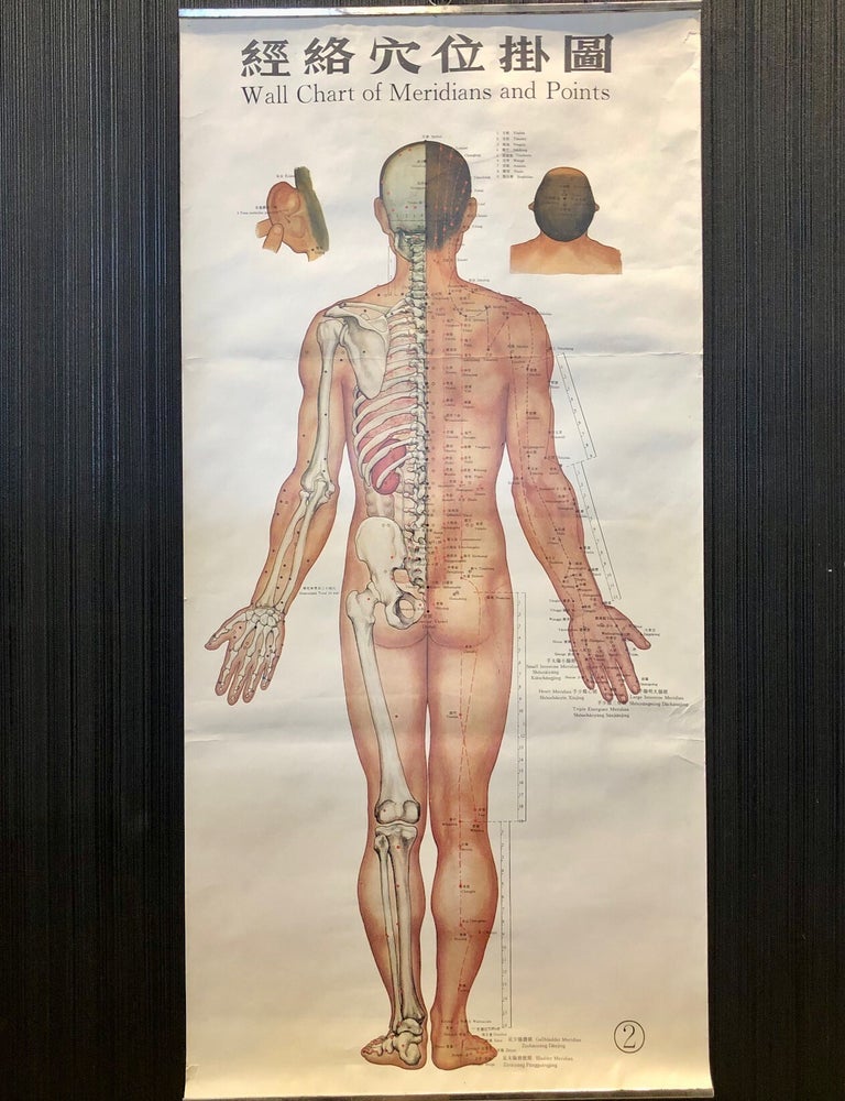 Item #8817 Three Vintage Posters Depicting Chinese Acupuncture Meridians and Points. Medicine - Asian.