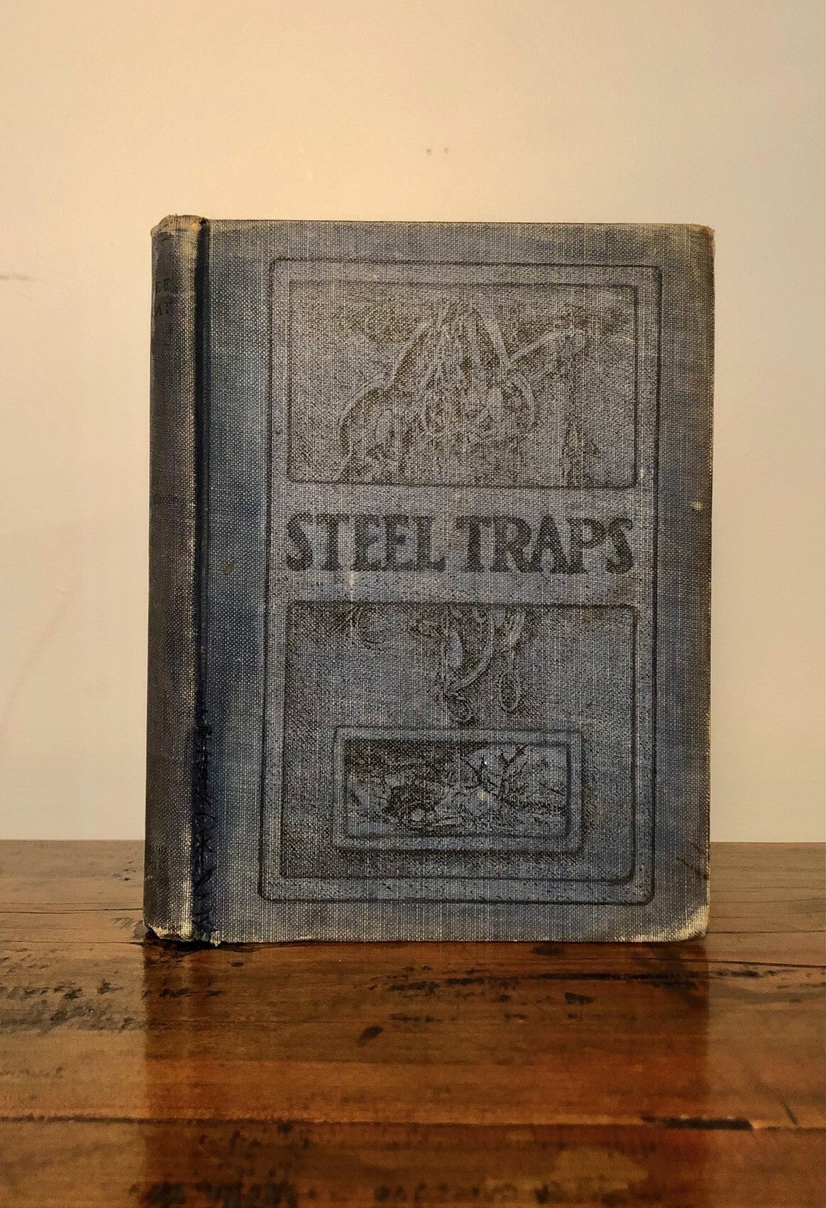 Steel Traps: Describes the Various Makes and Tells How to Use Them ...