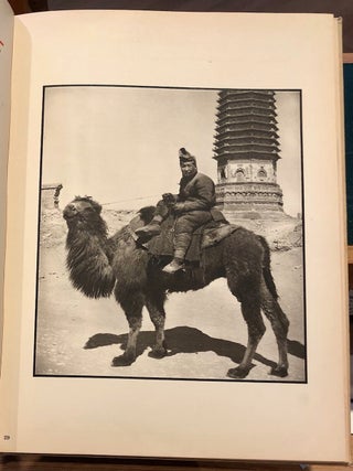 Peking Studies