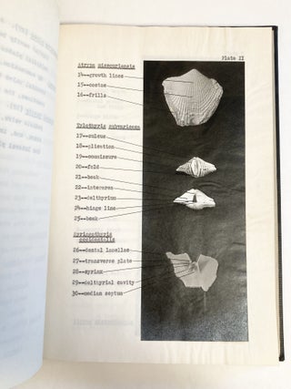 The Silicified Brachoipoda of the Calloway Limestone A Thesis Presented the the Faculty of the Graduate School of the University of Missouri - Author's Copy